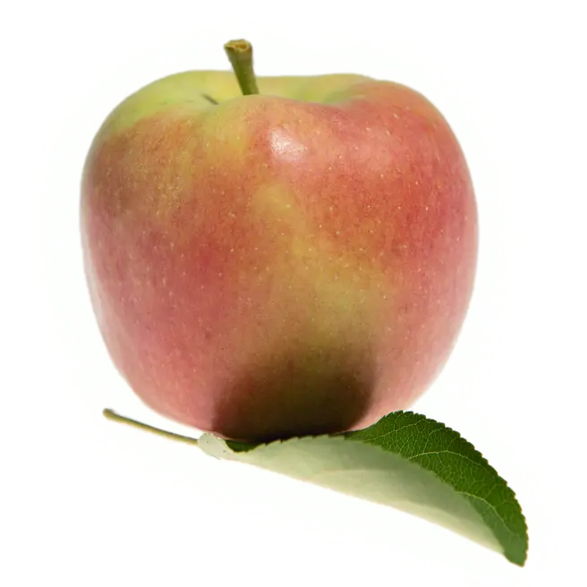 Zari Apfel, DE, HKL1, 1 kg