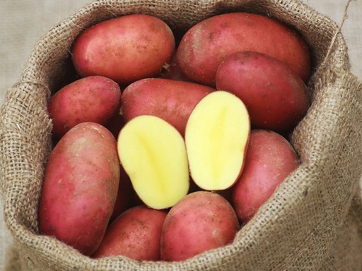 2,5 kg Tüte Laura vfk., DE, HKL 1