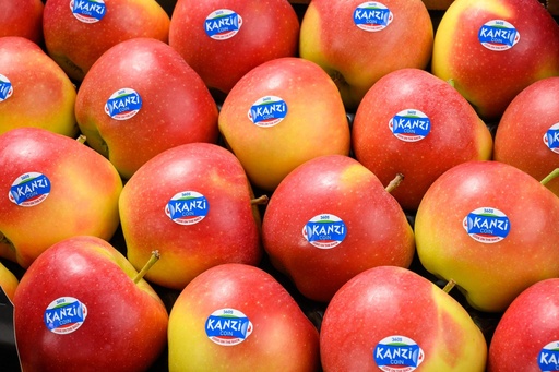 Apfel Kanzi, gelegt, ITA, HKL I, 6,5kg-Gebinde