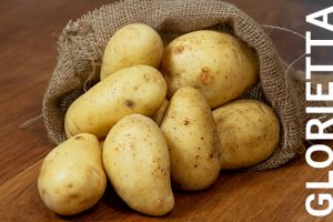 2,5 kg Tüte Glorietta, fk., DE, HKL 1