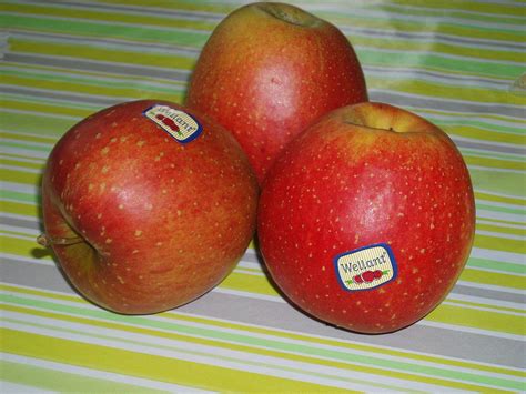 Apfel Fräulein, DE, HKL1 (12kg Kiste)
