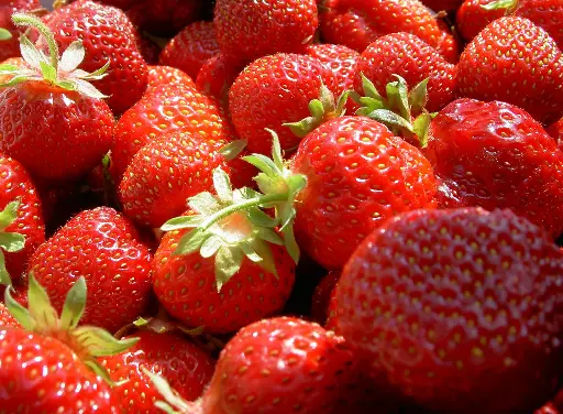 Erdbeeren 500 gr. Schale, NL, HKL 1